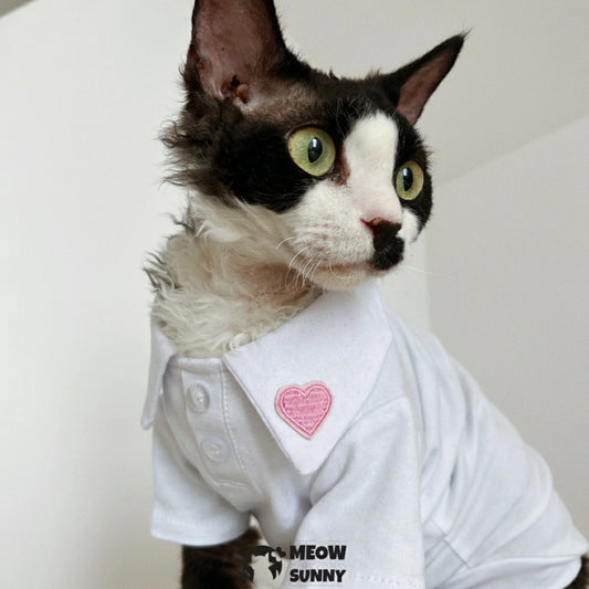 Hairless cat pure cotton multi-color POLO shirt spring skin-friendly