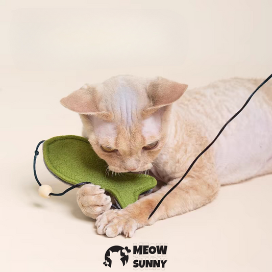 Outward Hound Tail Teaser with Catnip Cat Teaser Toy